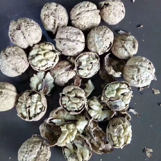 南华县 云南老树核桃