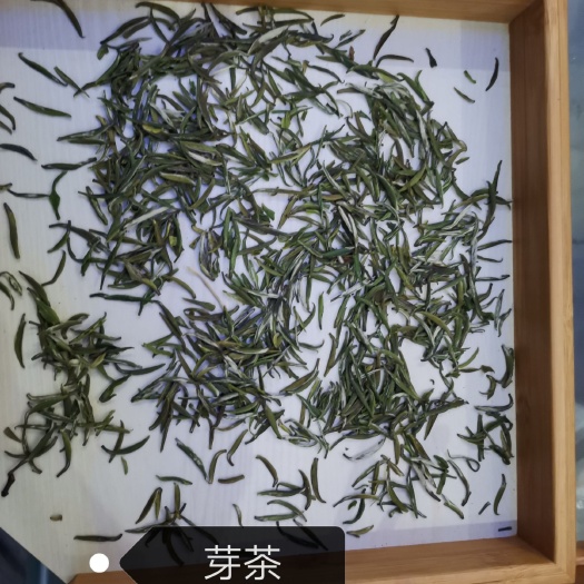 芦山县高山野生茶 高山云雾茶（扁茶，芽茶，毛峰茶，条茶）
