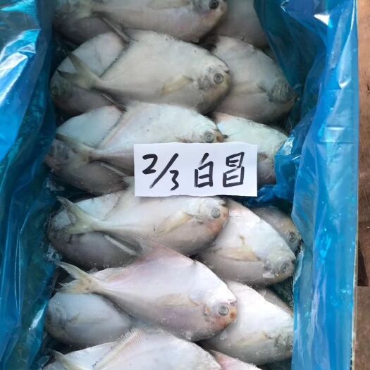连云港 白鲳鱼泡沫箱纸箱包装