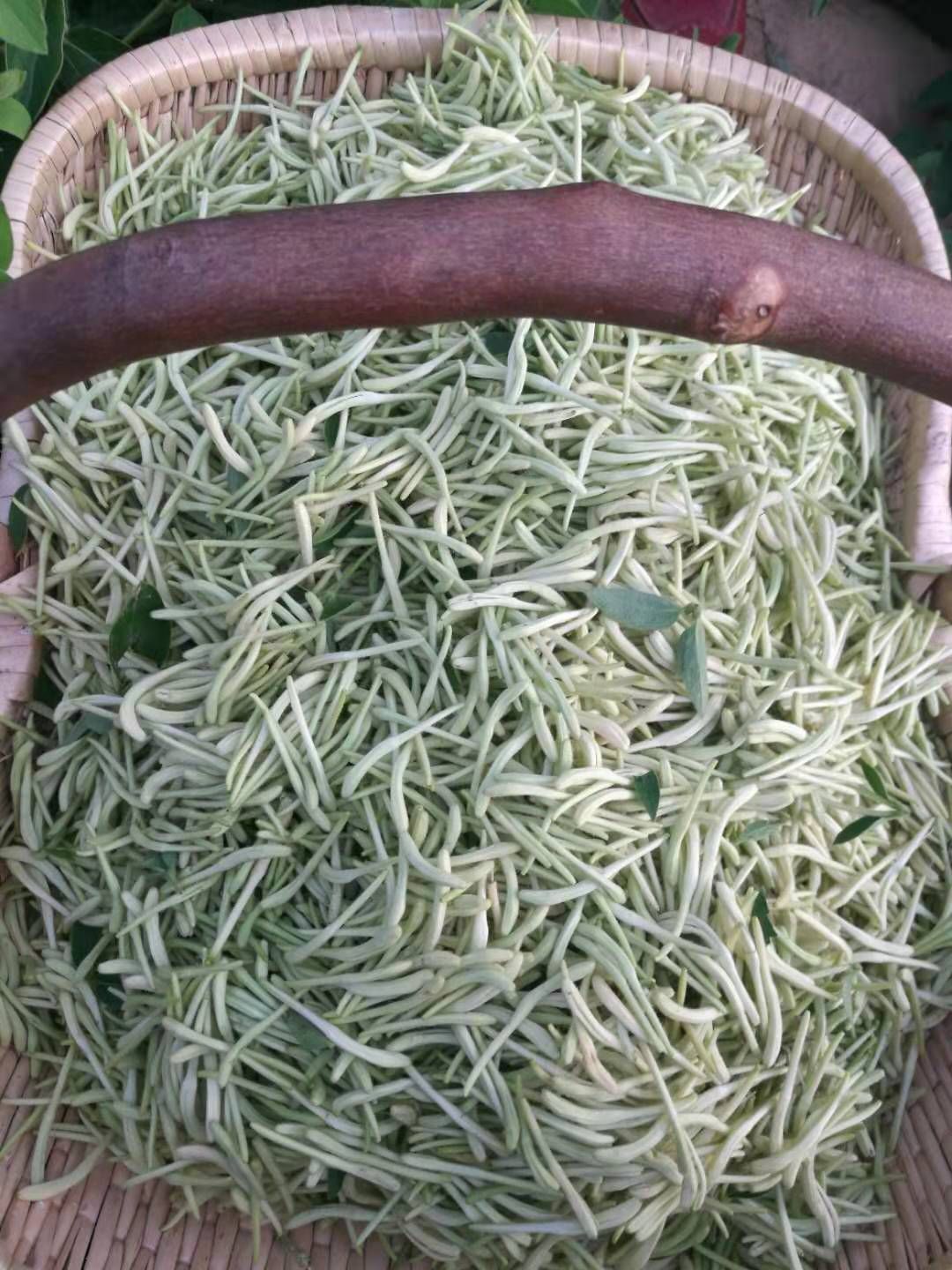 北花一号