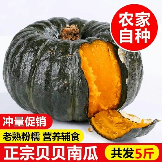 昆明云南贝贝南瓜板栗味小南瓜种源孕妇宝宝辅食新鲜蔬包邮