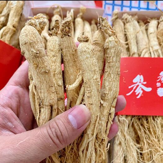 西宁东北人参特产长白山干人参生晒参精品白参包邮泡茶煲汤泡酒