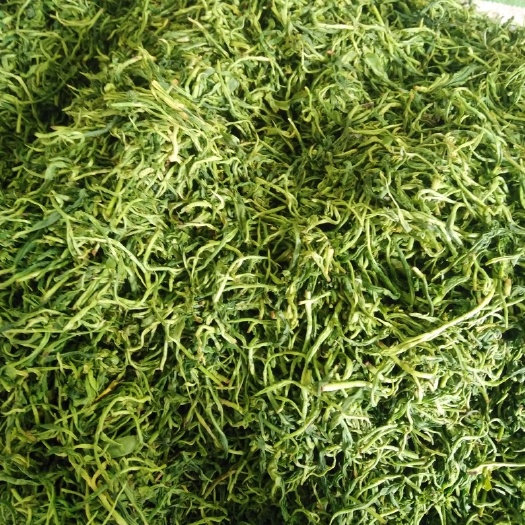 青川县 新鲜炒青茶