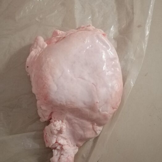 南宁 猪板油（广西南宁）