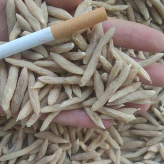 曹县麦冬手工精选