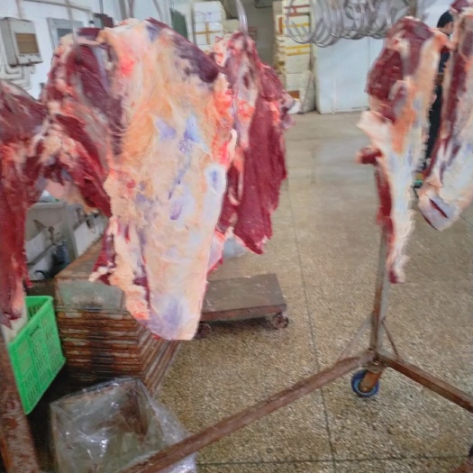 银川宁夏回族自治区 正宗黄牛肉，