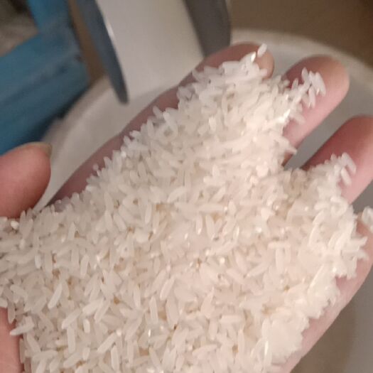 惠东县超级香稻 现碾农家米批发
