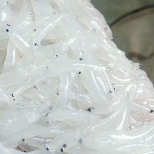 东山县 小银鱼