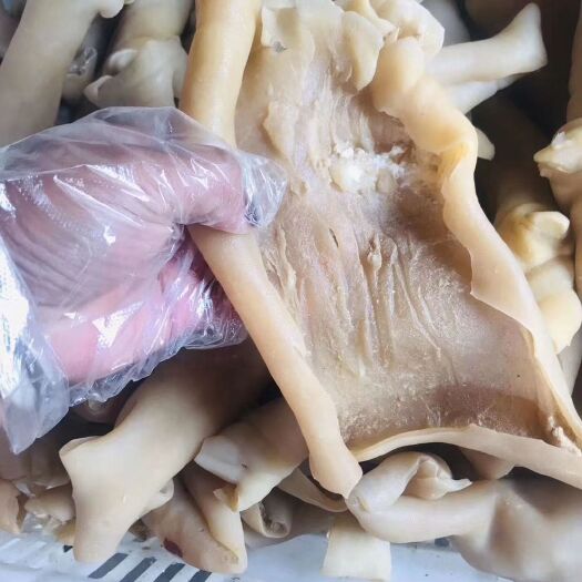 阳信县牛蹄皮 牛腿皮 质量好 价格低