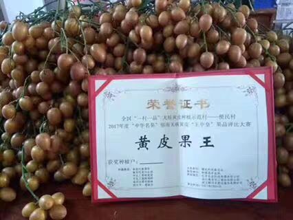 灵山县贵妃黄皮果苗 贵妃黄皮苗，嫁接苗，带泥球发货