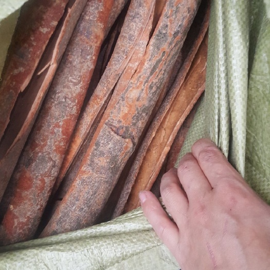 宜宾厚肉桂  老桂皮，浓香，老辣