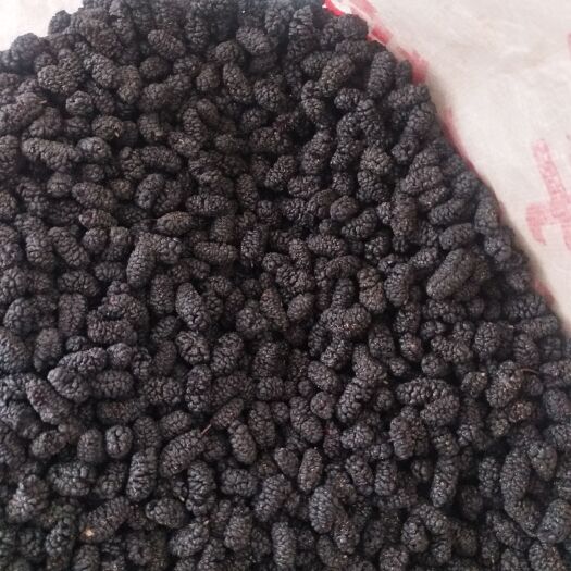 德昌县大凉山精品桑葚干富含大量花青素可做零食泡酒