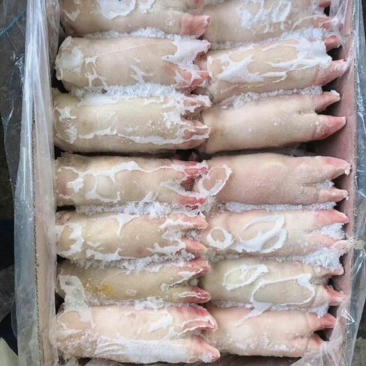 猪蹄  冰鲜猪手 各种规格都有 20斤/件  请认真阅读购买须知