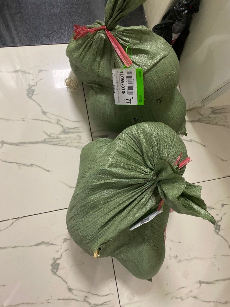 海南椰青带皮椰子个大多水包邮