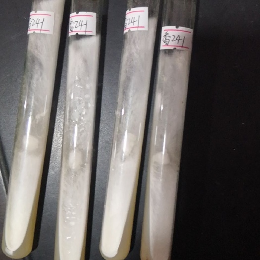 南平香菇菌种 香菇母种试管种子一级种子种苗椴木栽培袋料栽培