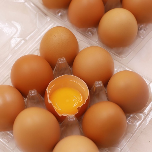 彰武县土鸡蛋 食用 箱装