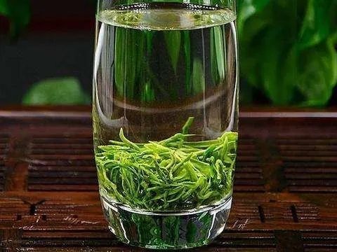 祁门县 黄山地区高山绿茶