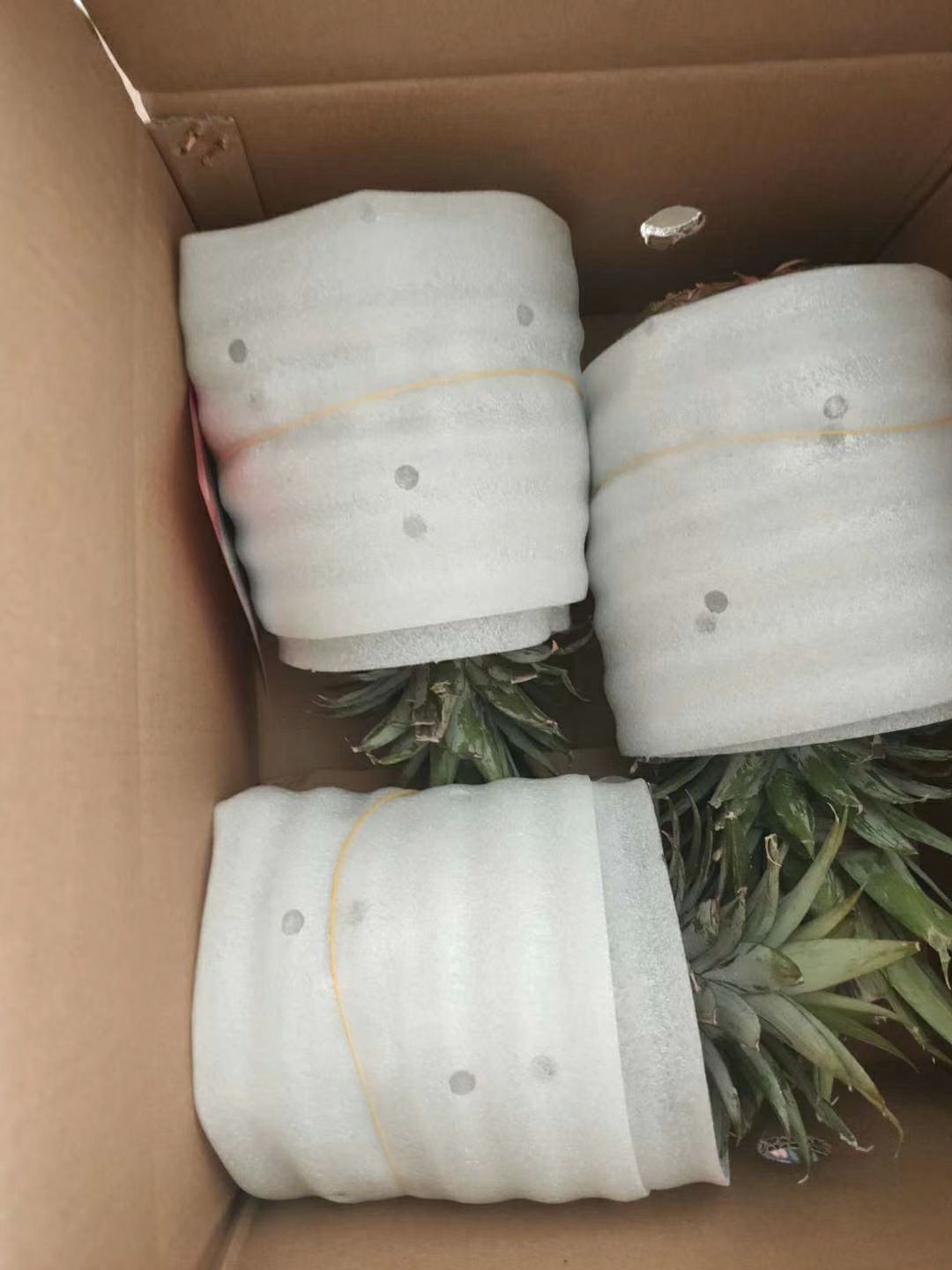  西双版纳无眼菠萝，基地直供现摘现发，**微商电商一件代发。