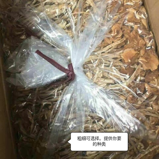 成都 茶树菇-滋补营养师