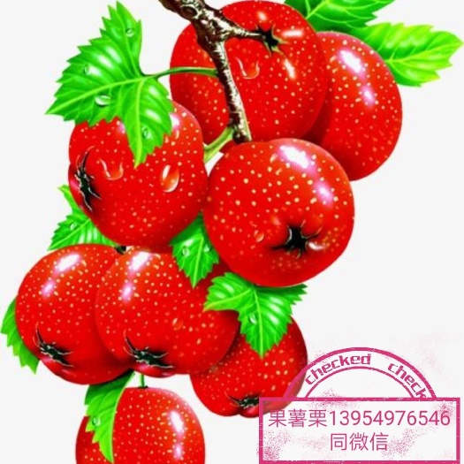费县 优质山楂制品（山楂球，山楂丝，山楂条，山楂汉堡，山楂片等）