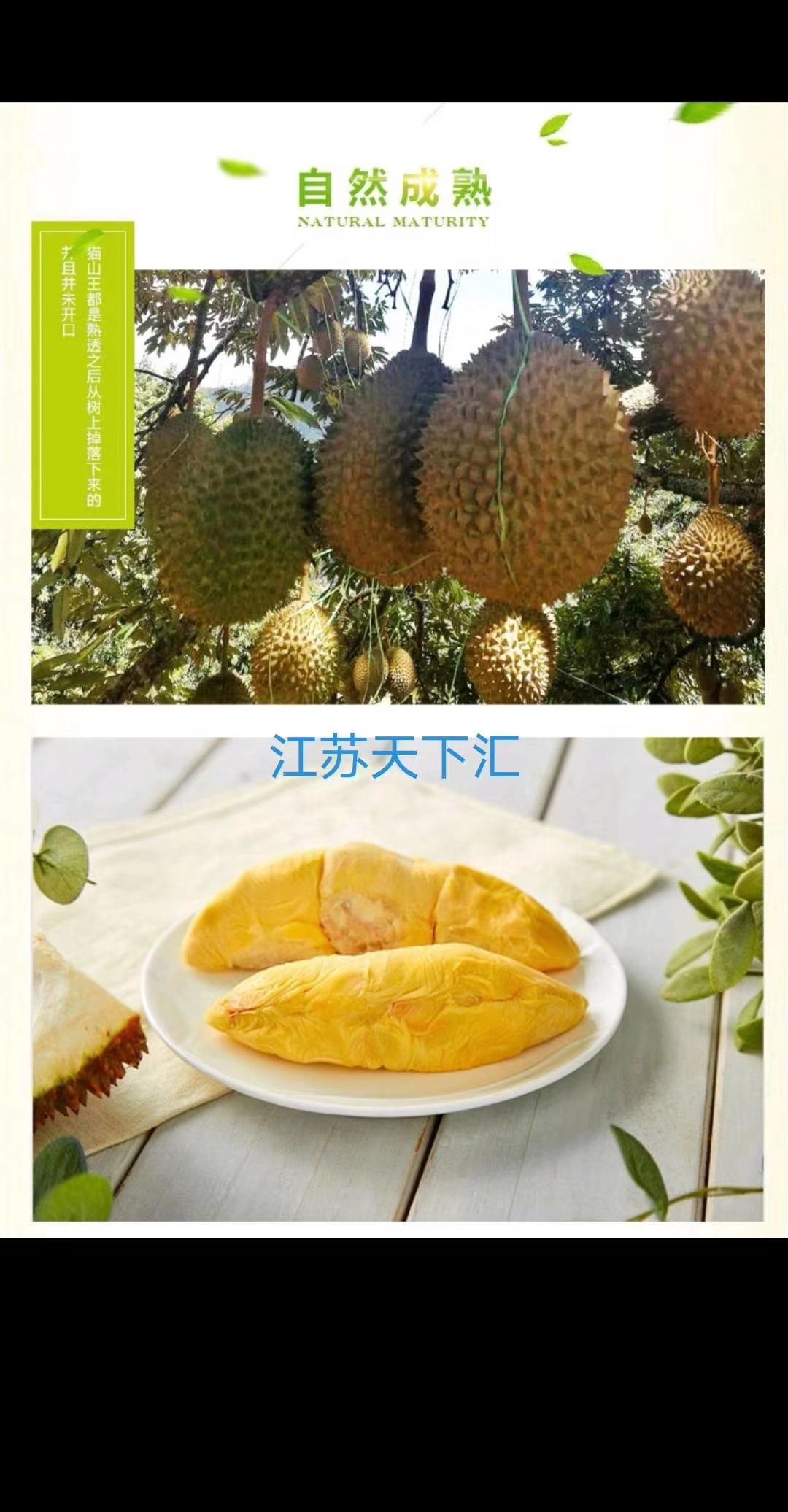 猫山王榴莲 3 - 4公斤