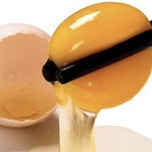 聊城粉蛋 食用 散装