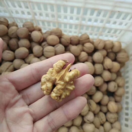澄城县 自家的核桃，不漂白，不打药，自然晒干，肉质细腻，口感好