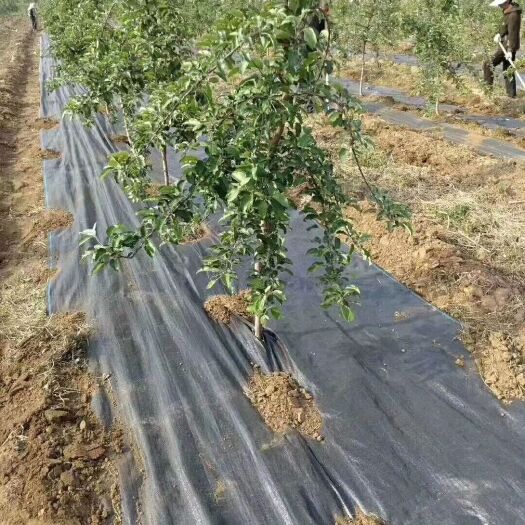 德州护坡布 为农民朋友排忧节钱。