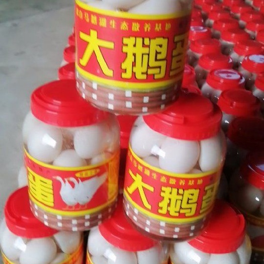 桓台县白鸭蛋 网红大鹅蛋