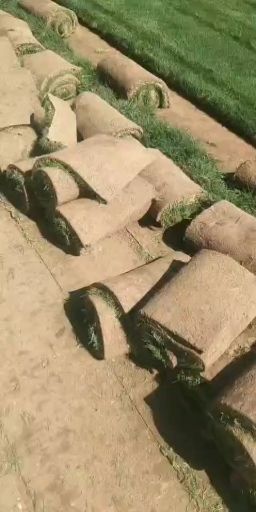 石家庄四季青