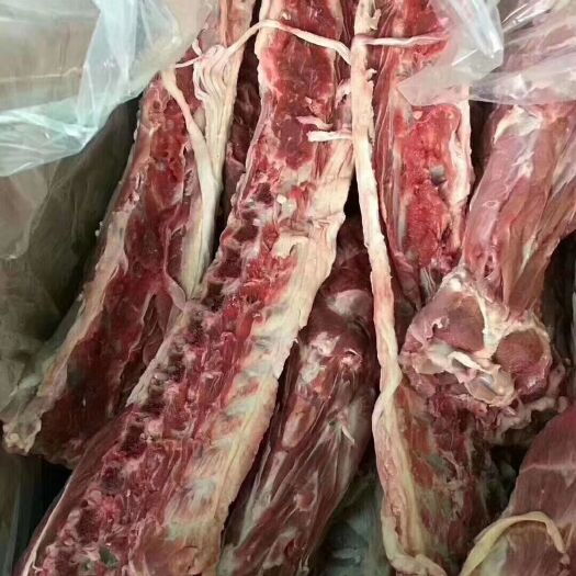 献县羊肉类 生肉