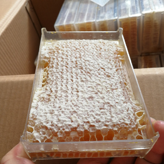 长葛市 2019百花蜂巢蜜500克左右蜂巢蜜天然成熟