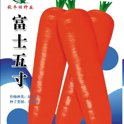 富士五寸  三红胡萝卜种子