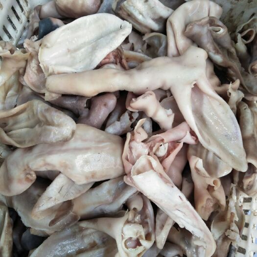 邹城市羊杂  新鲜羊耳朵