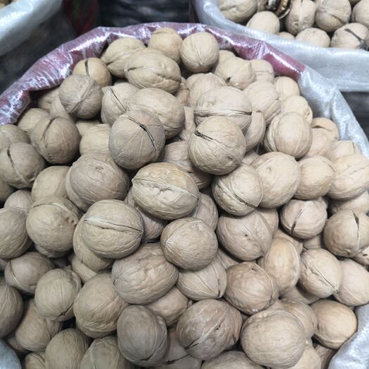 辉县市 常年批发袋装箱装高低挡新疆薄皮核桃，品质决定价格，