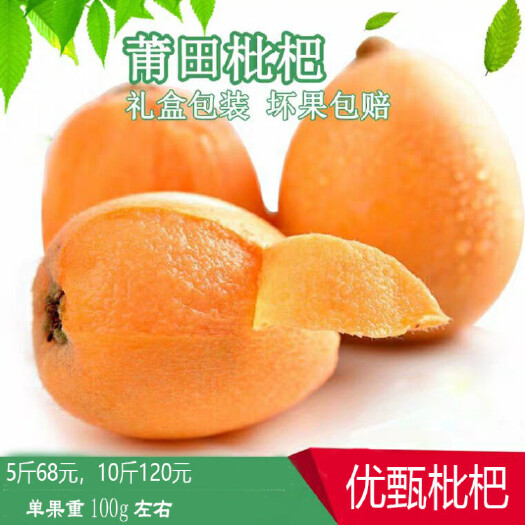 莆田 莆田优甄枇杷，一件代发