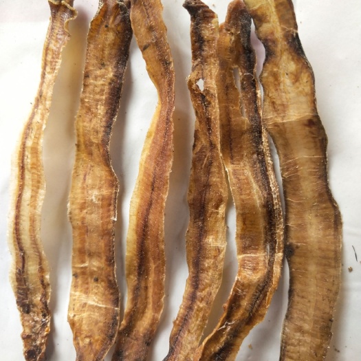 亳州土地龙  沪地龙规格全，新货干度好，欢迎订购