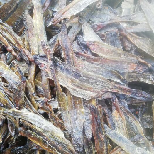 沛县地龙 干蚯蚓，大量，江苏徐州