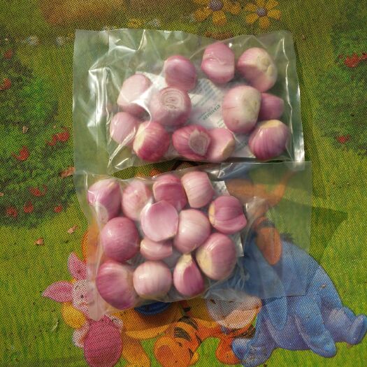 金乡县红葱头 精品葱米