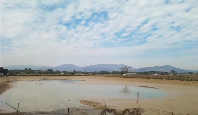 四会市水产养殖用地 广东肇庆四会大沙有50亩至500亩连片平整鱼塘岀租