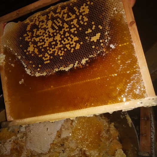 玉林荔枝蜜 自家养的中锋纯正锋蜜，不是意锋，39.8度