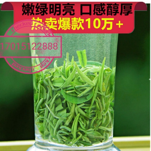 利川市 批发直条绿茶