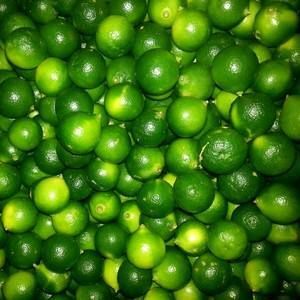 海口青金桔 产品口感质量保证