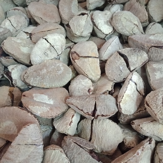 沙漠果，国内包邮 ，的沙漠果，，价格优势，量大从优，欢迎下单