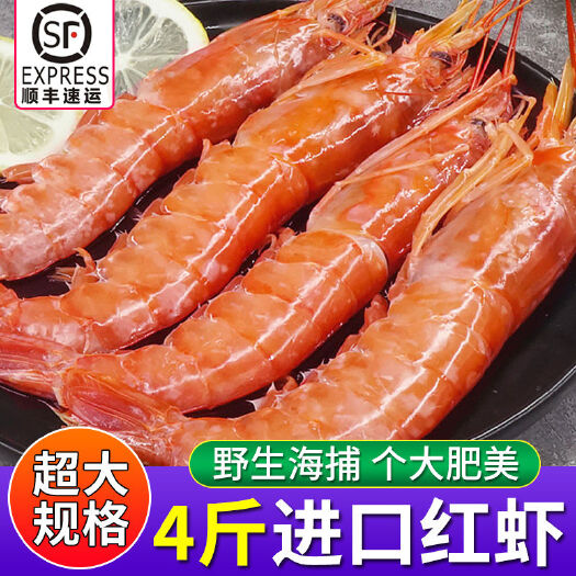 【特大号】阿根廷红虾超大海鲜水产鲜活深海大虾批发顺丰包