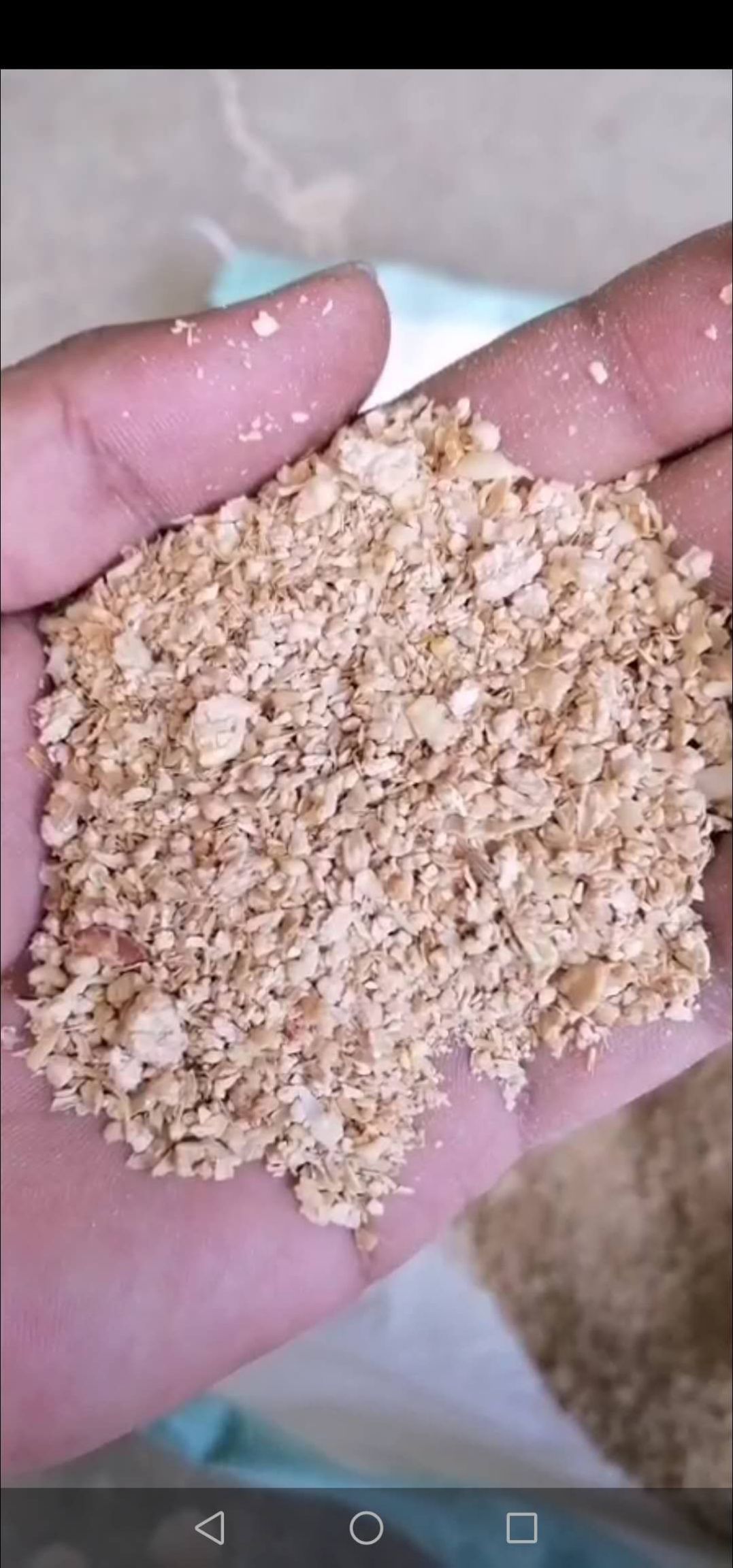 豆粕,玉米,麸皮,棉粕