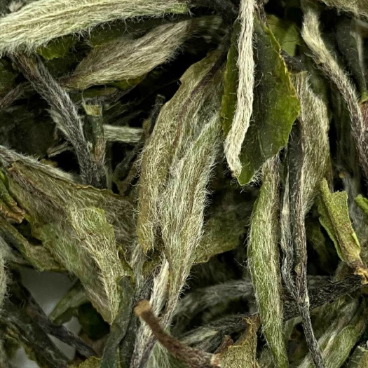 荒野茶】花香白牡丹福鼎白茶寿眉贡眉白毫银针磻溪日晒水甜好喝