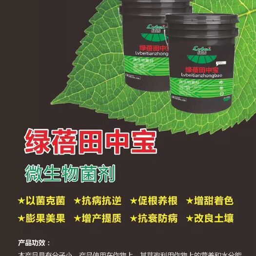 扶沟县生物菌肥发酵剂  微生物菌剂有效活菌5亿/g