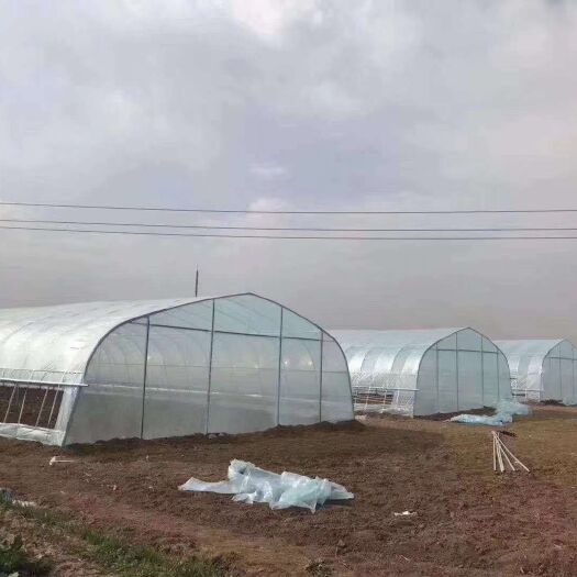 天津 单体棚 拱棚 插地棚 蔬菜棚 种植棚  薄膜棚 性价比