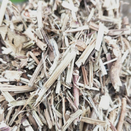 固镇县花生秧  除膜小草